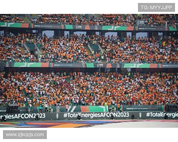 非洲杯象牙海岸主场夺冠全过程